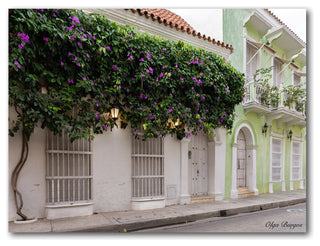 Indoor/Outdoor Wall Decor 'Provincial XIII' in ArtPlexi, 12"x16"