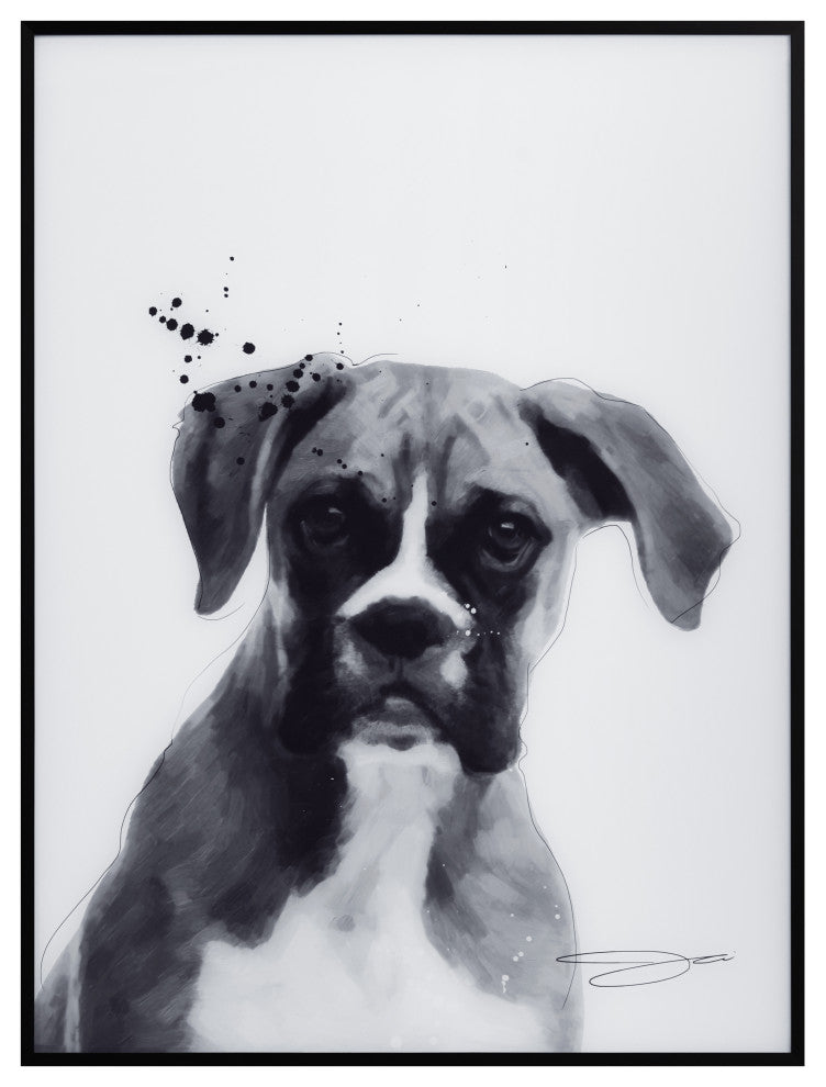 "Boxer" Black and White Pet Art on Printed Glass Encased with Anodized Frame