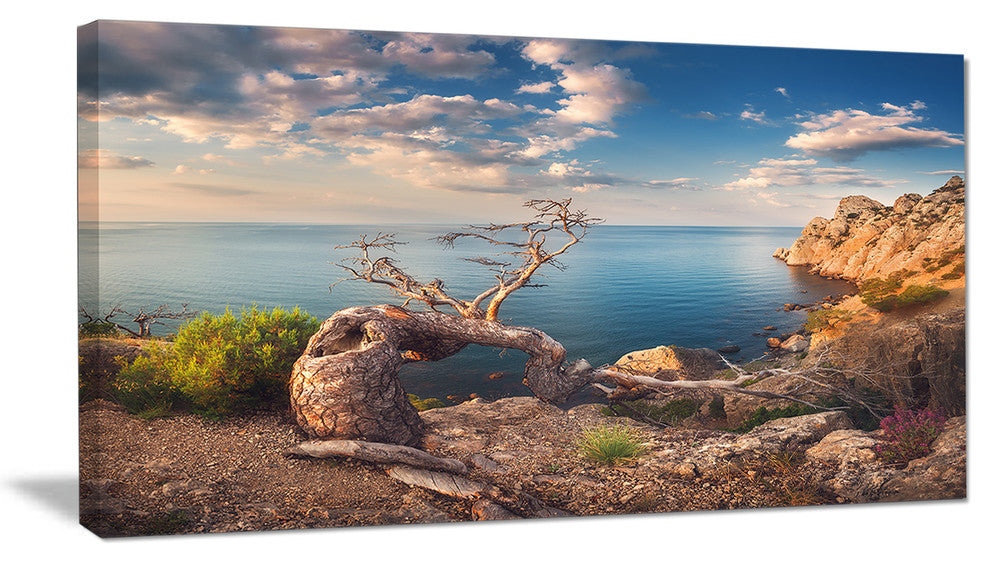 "Sunny Morning With Old Tree" Seashore Canvas Photo Print, 1 Panel, 60"x28"