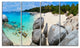 "Turquoise Ocean Water With Rocks" Modern Seascape Wall Art, 4 Panels, 48"x28"
