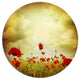 Red Poppies On Grunge Background, Floral Large Disc Metal Wall Art, 36"