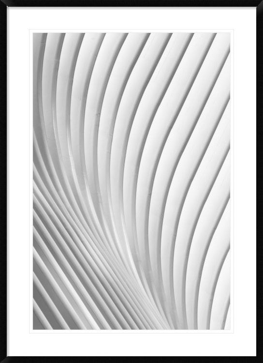 "Calatrava Lines" Framed Digital Print by Christopher Budny, 32x44"