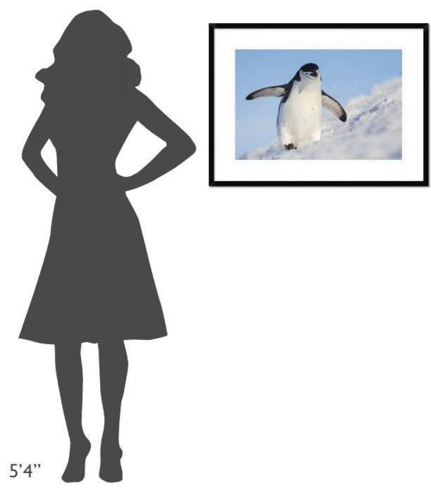 "Running Up That Hill" Framed Digital Print by Hillebrand Breuker, 32x24"