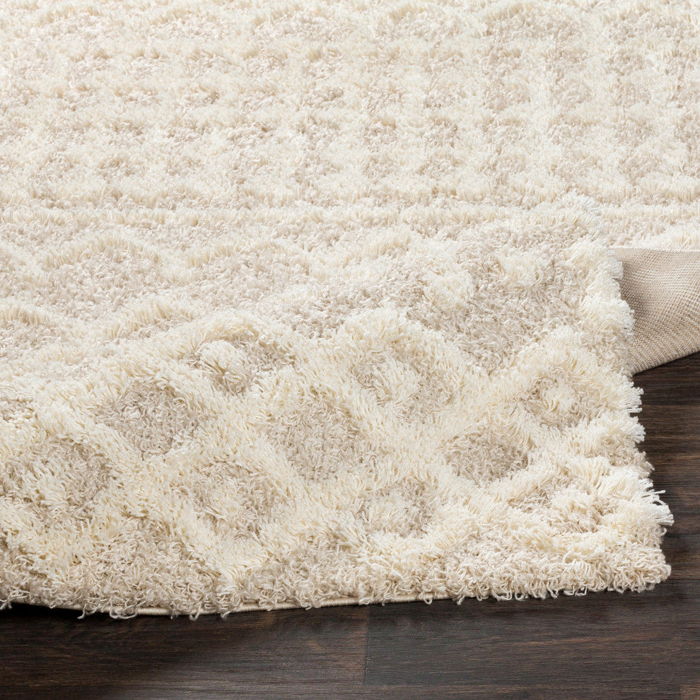 Urban Shag USG-2303 Contemporary Tan/Cream 2'x2'11" Area Rug