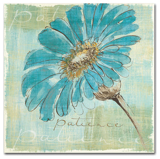 'Spa Daisies II' Canvas Art by Chris Paschke