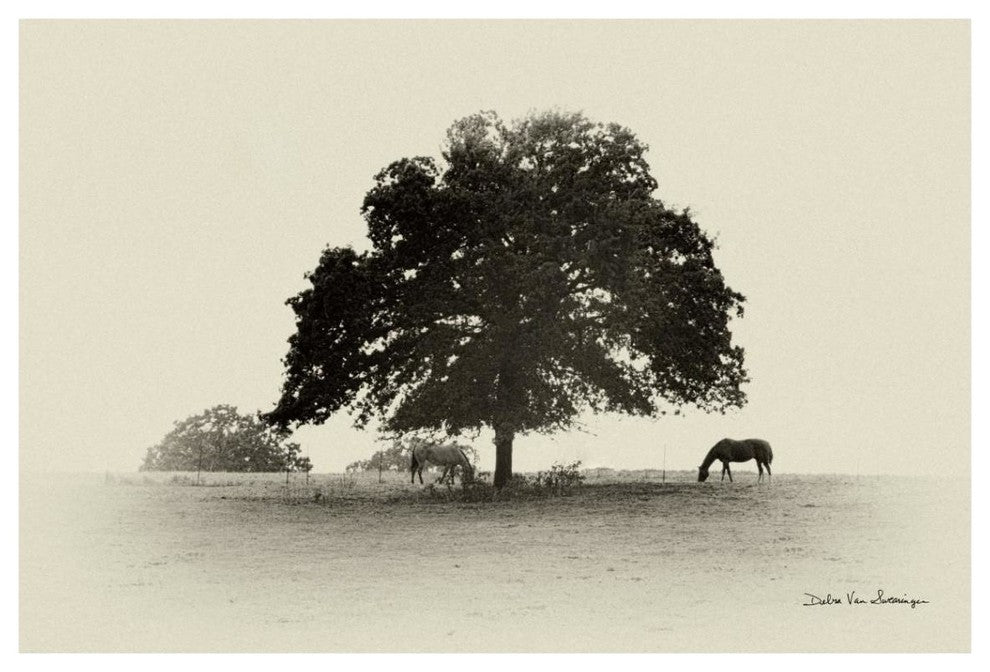 "Horses and Trees I" Digital Paper Print by Debra Van Swearingen, 20"x14"