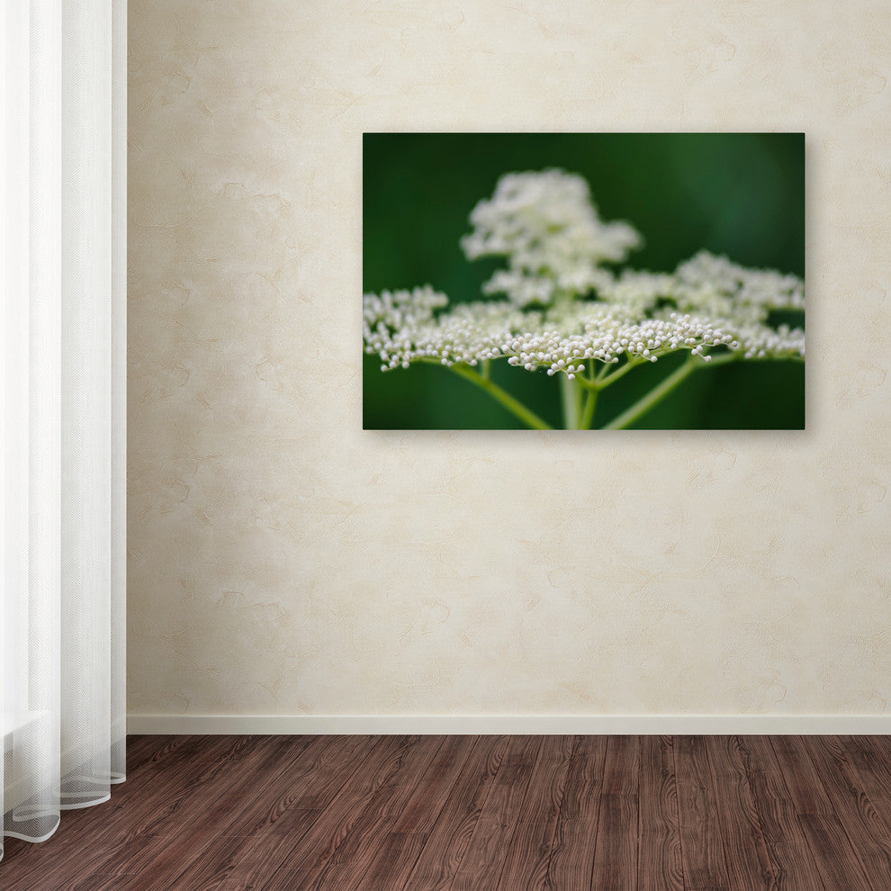 Kurt Shaffer 'Nature is Amazing' Canvas Art, 32"x22"