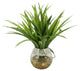Grass Leaf Plant in Glass Vase with Rocks