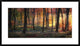"Autumn Woodland Sunrise" Framed Digital Print by Photokes, 38x22"