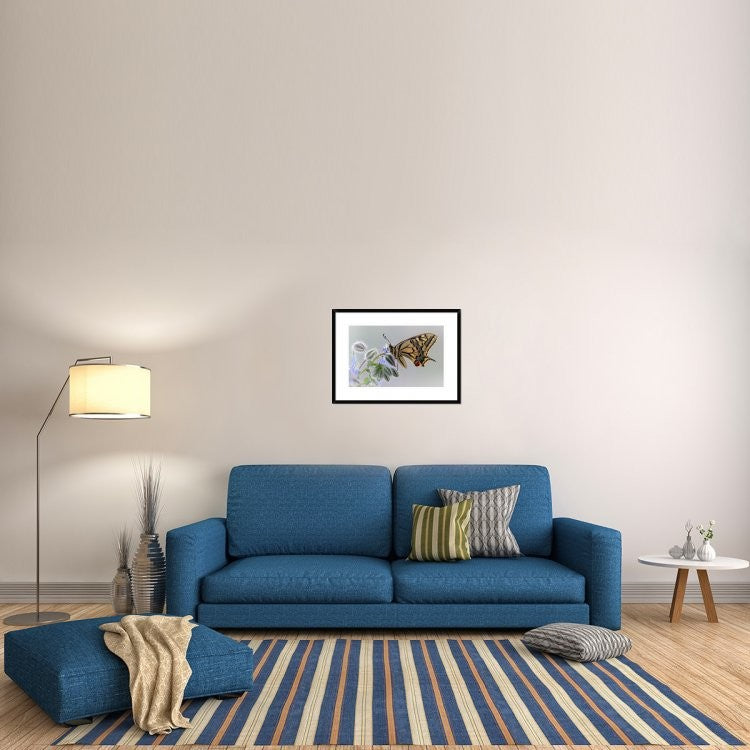 "Macaon" Framed Digital Print by Jimmy Hoffman, 30x22"