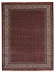 Hand Knotted Persian Wool Area Rug Oriental Red