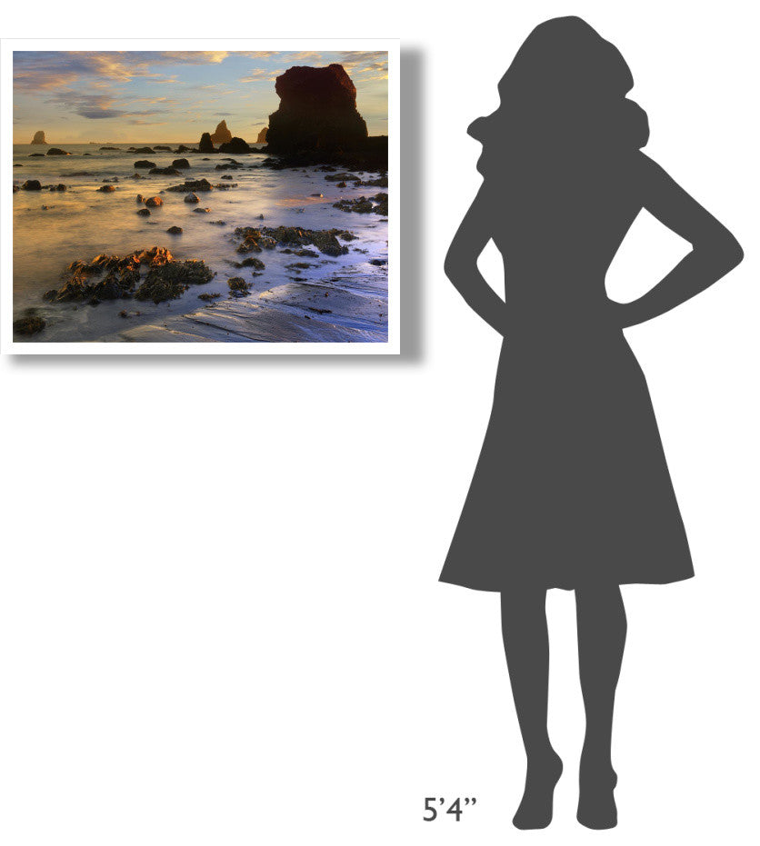 "Seastacks, Lone Ranch Beach, Oregon" Paper Print by Tim Fitzharris, 34"x26"