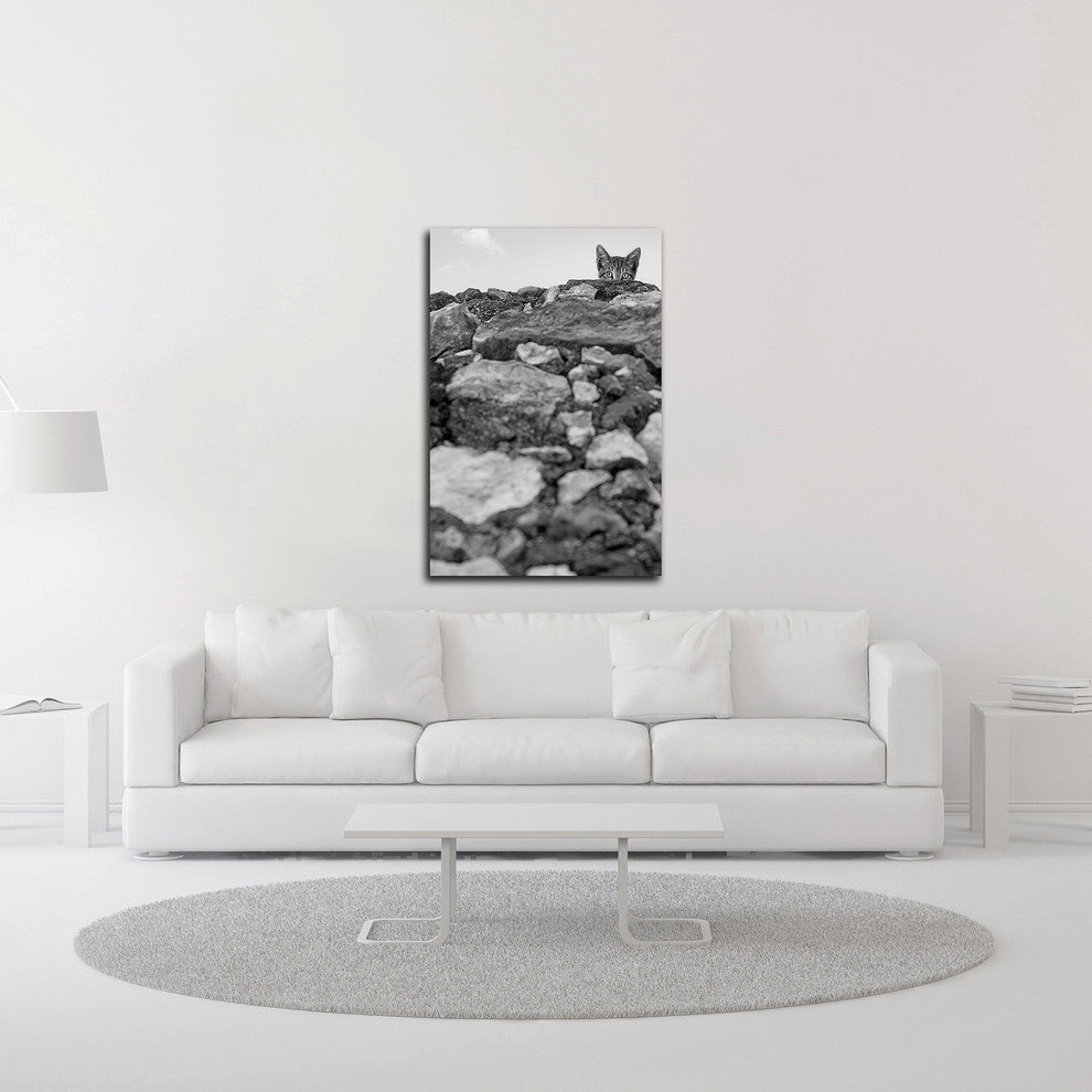 C"™est Moi! by Jon Bertelli, Print on Canvas, 24"x36"