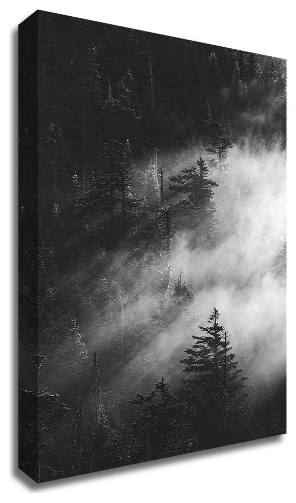 Misty Pine Woods by Design Fabrikken, Print on Canvas, 20"x28"