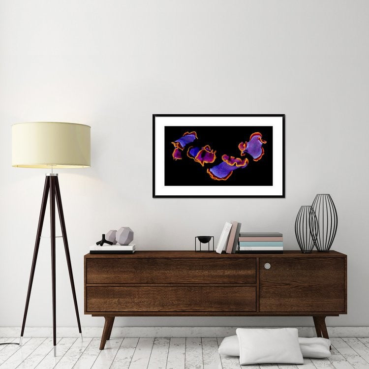 "Flamenco" Framed Digital Print by Andrey Narchuk, 44x28"
