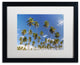 Pierre Leclerc ''Coconut Grove'' Matted Framed Art, Black Frame, White, 20x16