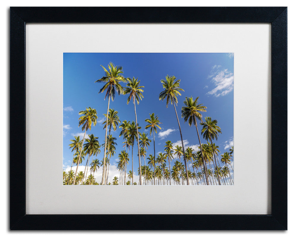 Pierre Leclerc ''Coconut Grove'' Matted Framed Art, Black Frame, White, 20x16