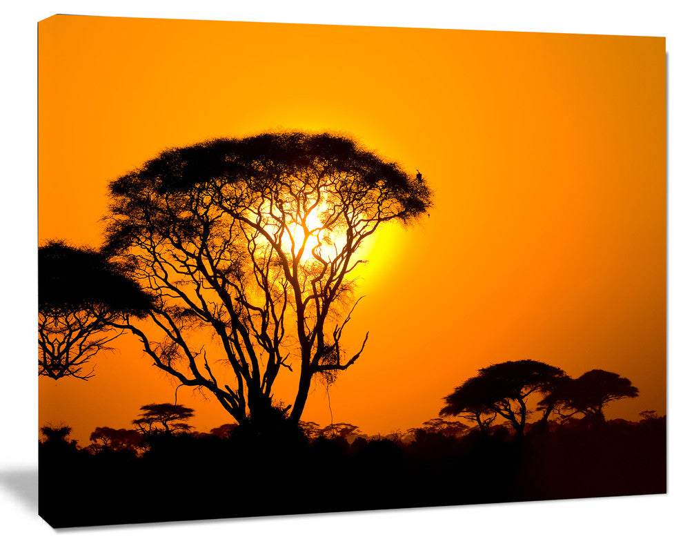Beautiful African Sunset in Savannah, African Landscape Canvas Print, 20"x12"