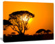 Beautiful African Sunset in Savannah, African Landscape Canvas Print, 20"x12"