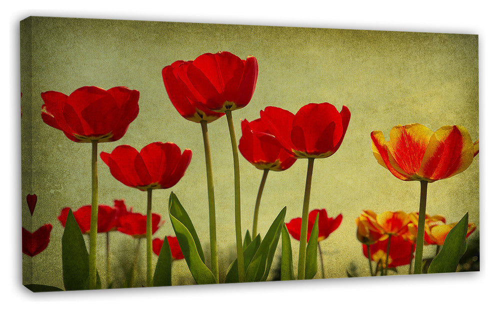 Grunge Flowers Background, Floral Canvas Art Print, 32"x16"