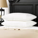 2-Pack Gusseted Microfiber Gel Filled Soft Stomach Sleeper Pillows, Standard