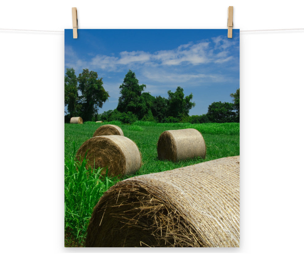 Hay Whatcha Doin in the Field Rural Unframed Wall Art Print, 16" X 20"