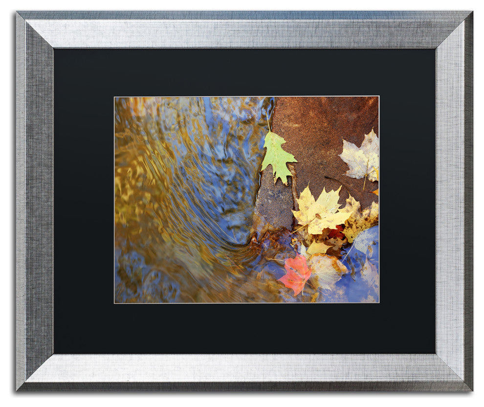 Jason Shaffer 'Arb' Matted Framed Art, Silver Frame, Black Mat, 20x16