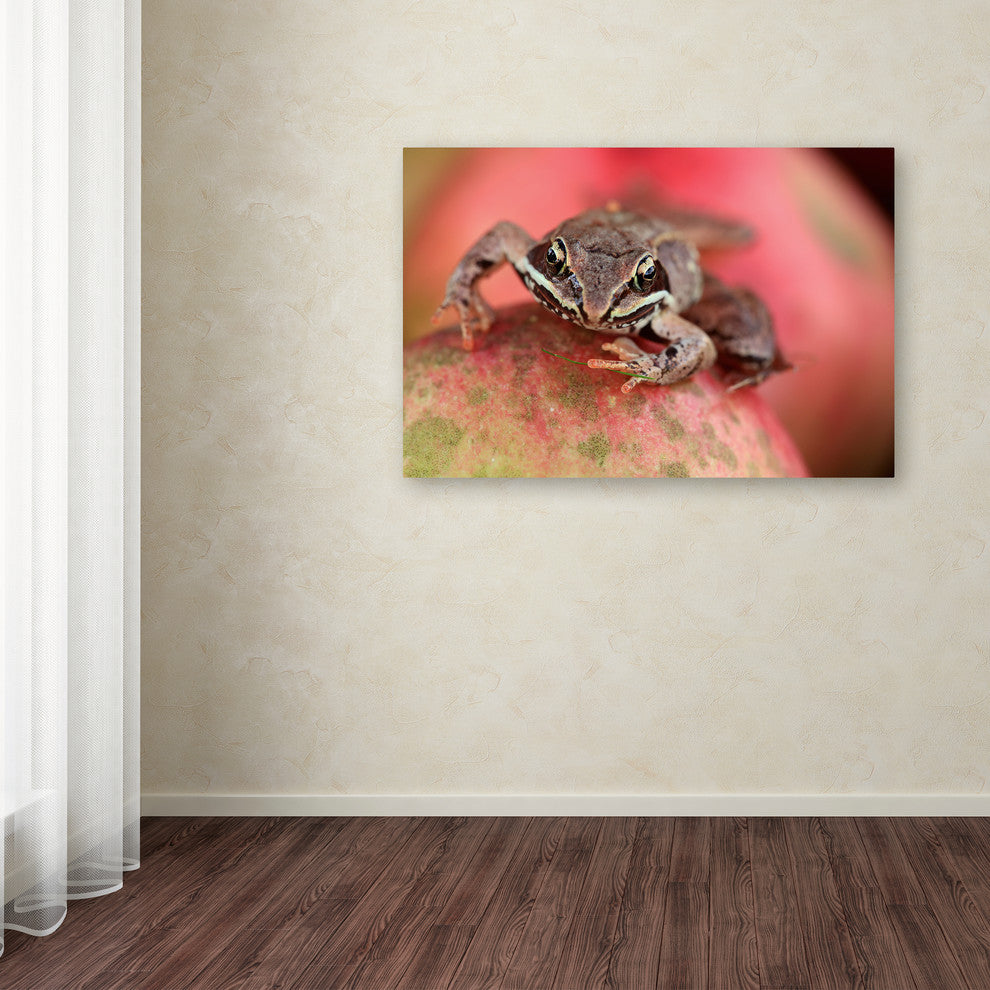 Jason Shaffer ''Wood Frog'' Canvas Art, 47x30