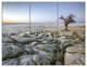 Baobab Tree on Rocky Terrain, Landscape Triptych Canvas Art, 36x28, 3 Panels