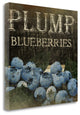 "Plump Blueberries" By Jennifer Pugh, Giclee Print on Gallery Wrap Canvas