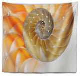 Isolated Nautilus Shell Contemporary Wall Tapestry, 60"x50"
