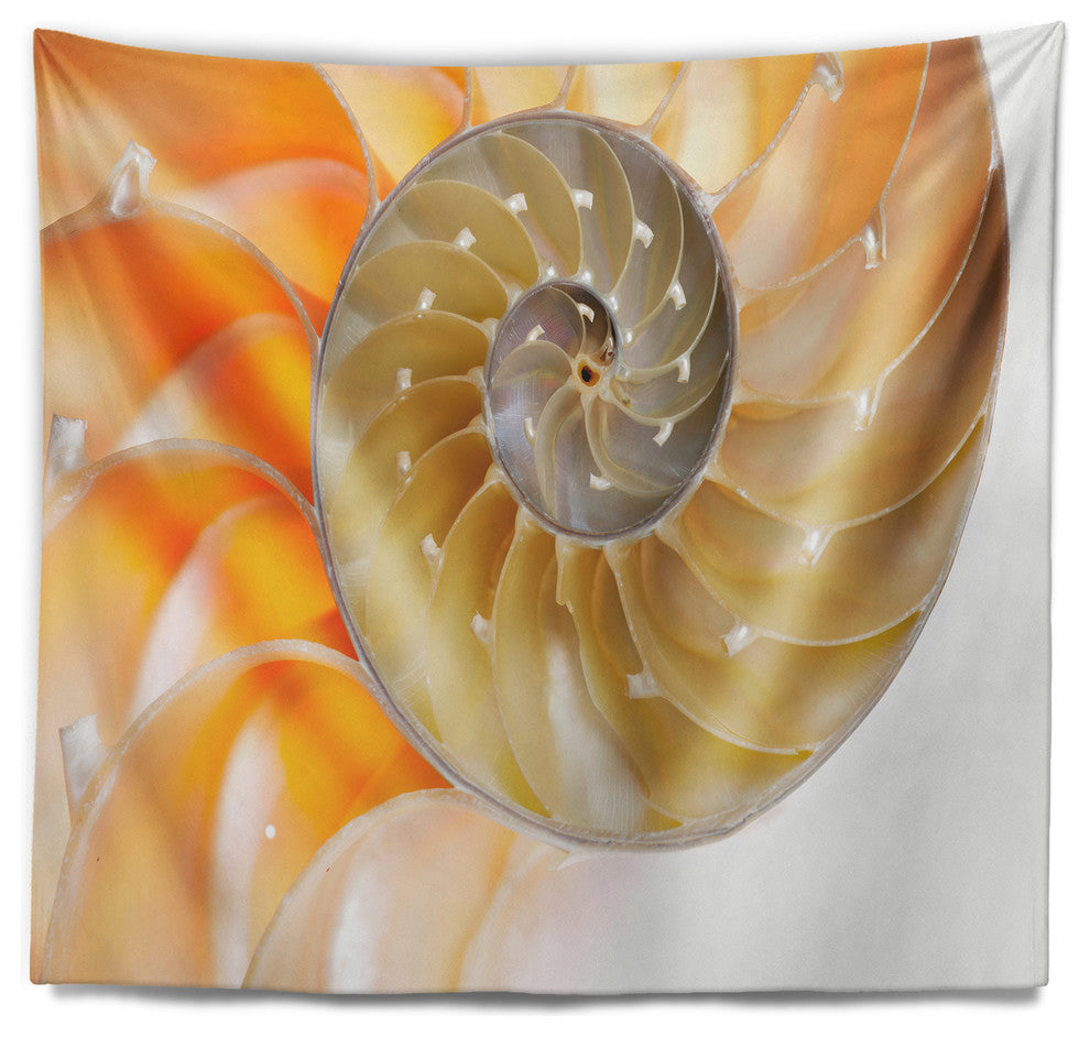 Isolated Nautilus Shell Contemporary Wall Tapestry, 60"x50"