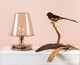 Fatboy Transloetje Modern Transparent LED Table Lamp, Brown