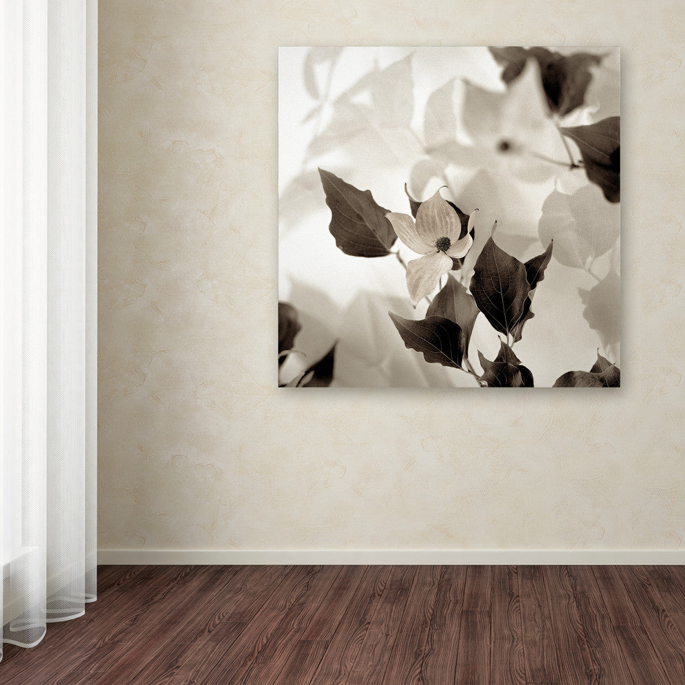 Alan Blaustein ''Florison 54'' Canvas Art, 24x24