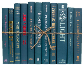 Decorative Books - Blue Spruce Book Bundle - 1 foot of Books
