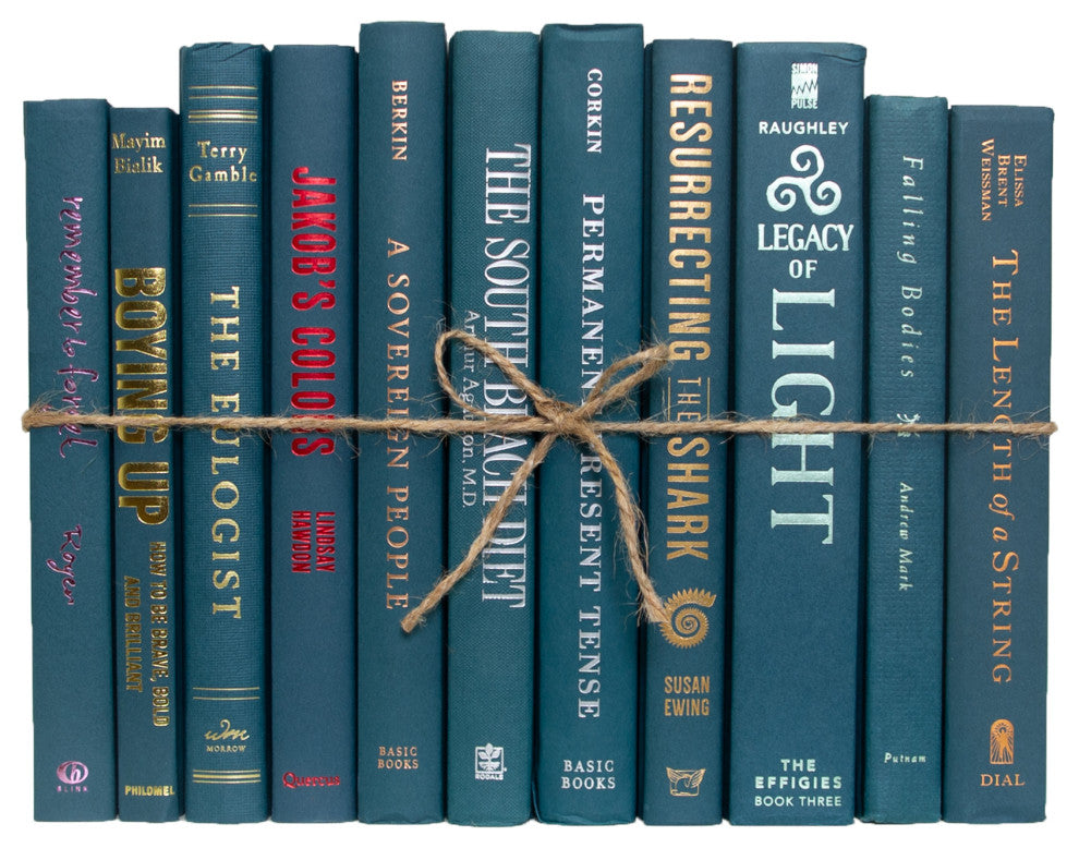 Decorative Books - Blue Spruce Book Bundle - 1 foot of Books