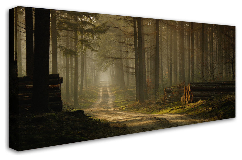 Jan Paul Kraaij 'A Forest Walk' Canvas Art, 19x10