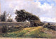 Carlos De Haes Paisaje, 18"x27" Wall Decal Print