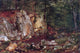 David Johnson Brook Study at Warwick, 18"x27" Wall Decal Print