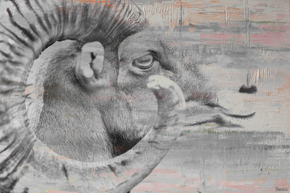 "Eye of Ram" Painting Print on Wrapped Canvas, 45"x30"