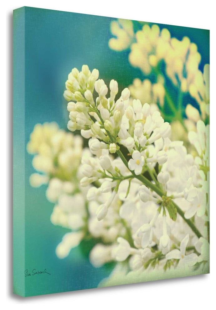 "Natures Lilac Blossom" By Sue Schlabach, Giclee Print on Gallery Wrap Canvas