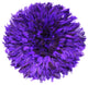 XSmall Purple Juju Hat