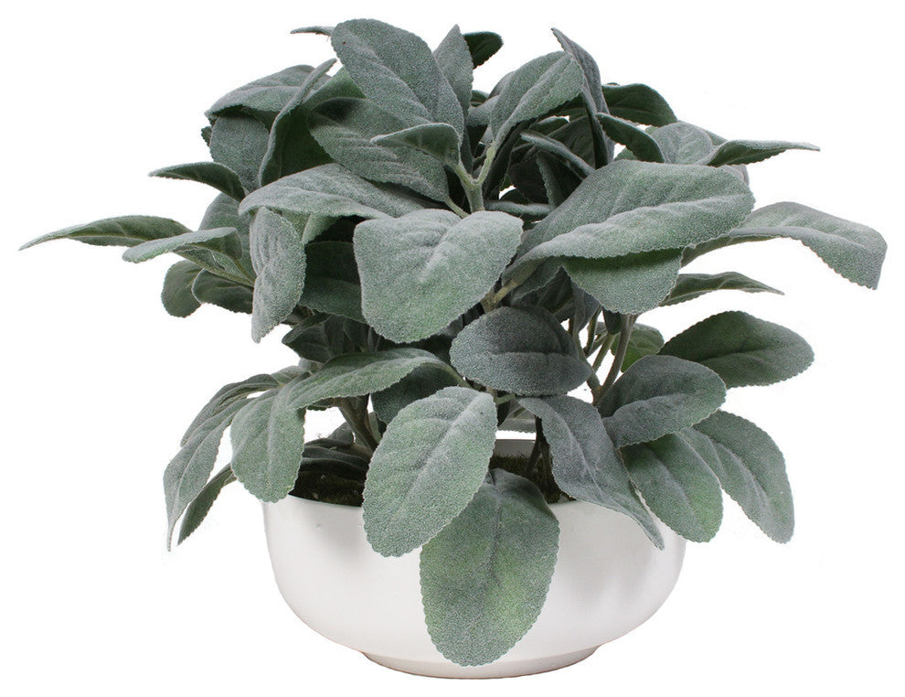 Frosted Lemon Leaf in White Pot, 10"