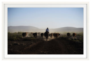 Mosey Along Fine Art Print, White, 20"x30"