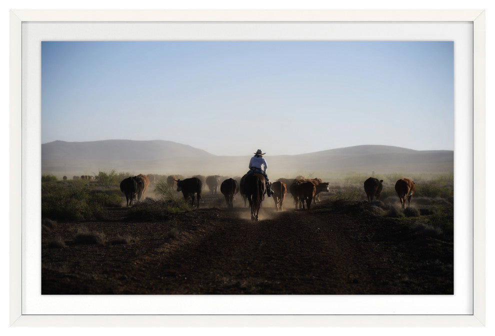Mosey Along Fine Art Print, White, 20"x30"