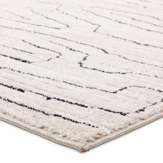Label J Newlyn EVA01 Abstract Ivory Area Rug, 5'x8'