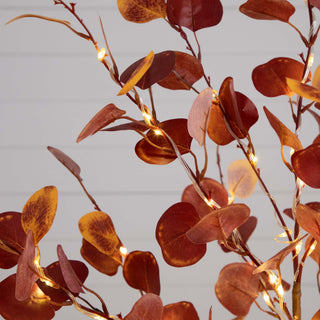 Close-up of leaves with lights on white background