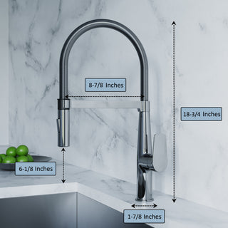 Dowell 8002/016 Series Single Handle Kitchen Faucet/Sprayer Chrome