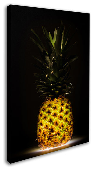 Wieteke De Kogel 'Pineapple' Canvas Art, 24 x 16