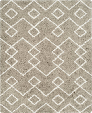 Safavieh Toronto Shag Sgt609C Rug, Silver/Ivory, 5'x8'